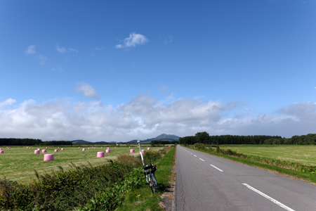 �j���[�T�C�ʐ^�@RICOH GR GR18.3mm1:2.8