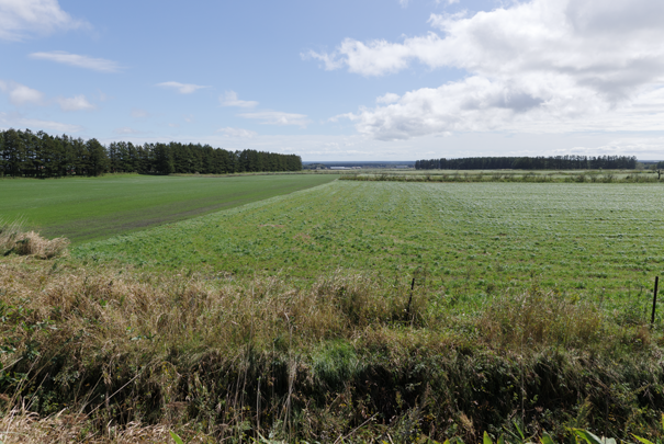 �@RICOH GR�W GR18.3mm1:2.8