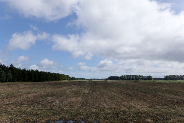 �@RICOH GR�W GR18.3mm1:2.8