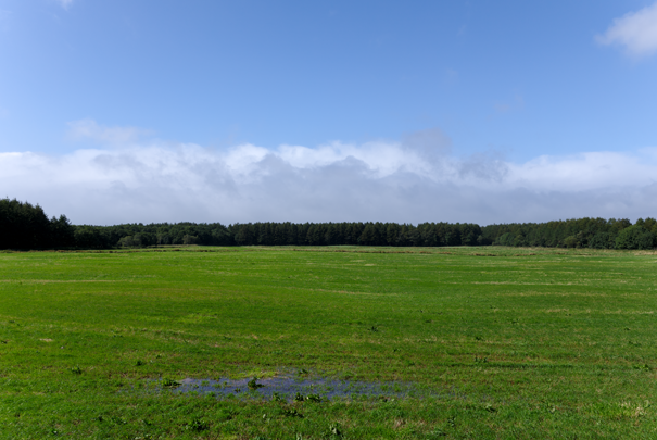 �@RICOH GR�W GR18.3mm1:2.8