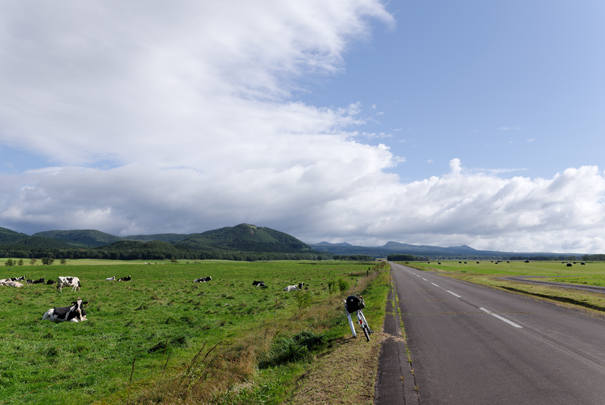 �@RICOH GR�W GR18.3mm1:2.8