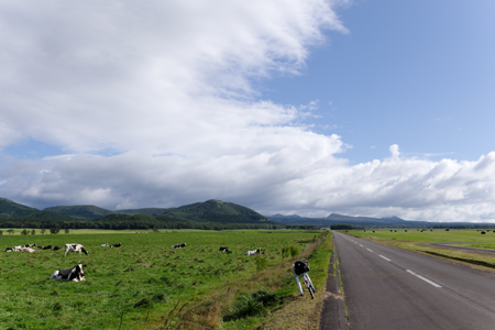 �j���[�T�C�ʐ^�@RICOH GR GR18.3mm1:2.8