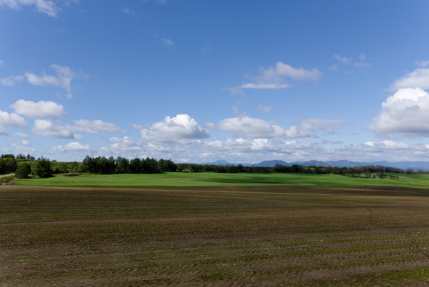 �@RICOH GR�W GR18.3mm1:2.8