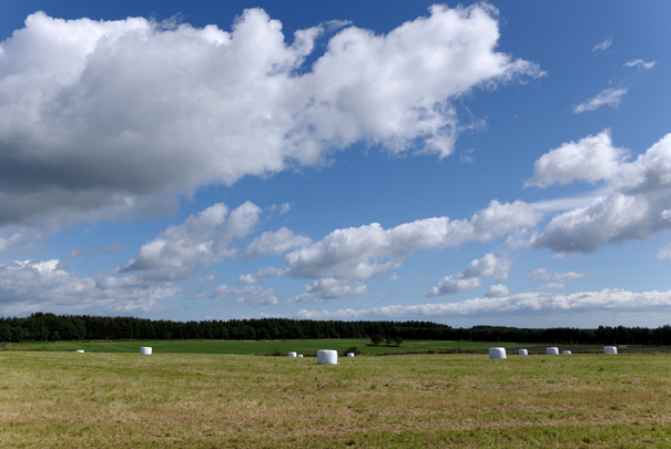 �@RICOH GR�W GR18.3mm1:2.8