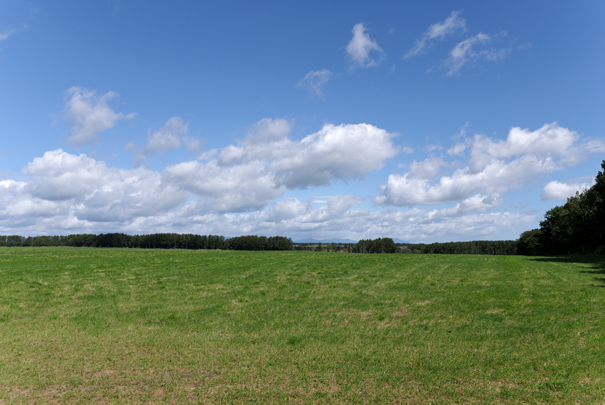 �@RICOH GR�W GR18.3mm1:2.8