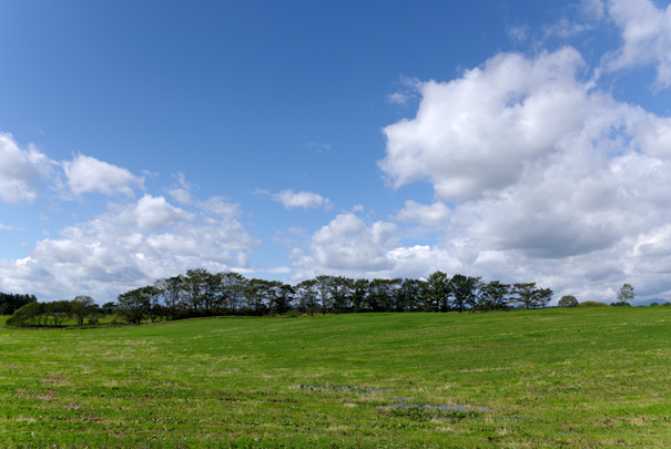 �@RICOH GR�W GR18.3mm1:2.8