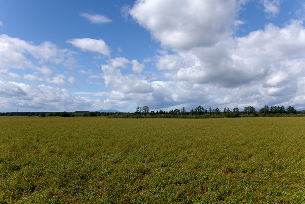 �@RICOH GR�W GR18.3mm1:2.8