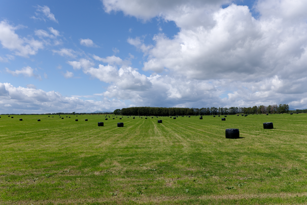 �@RICOH GR�W GR18.3mm1:2.8