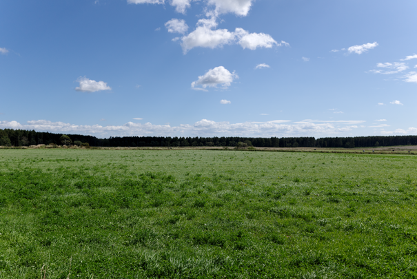 �@RICOH GR�W GR18.3mm1:2.8