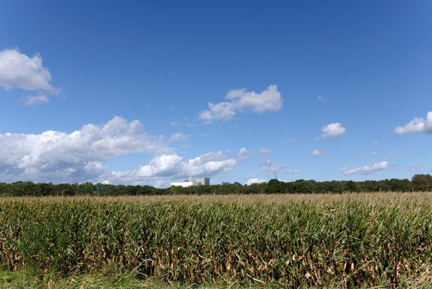 �@RICOH GR�W GR18.3mm1:2.8