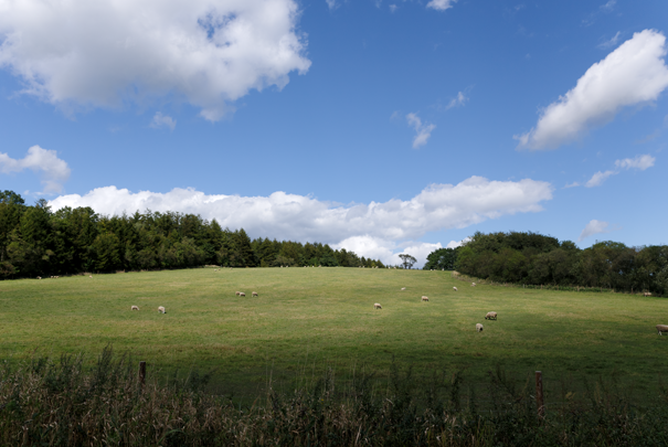 �@RICOH GR�W GR18.3mm1:2.8