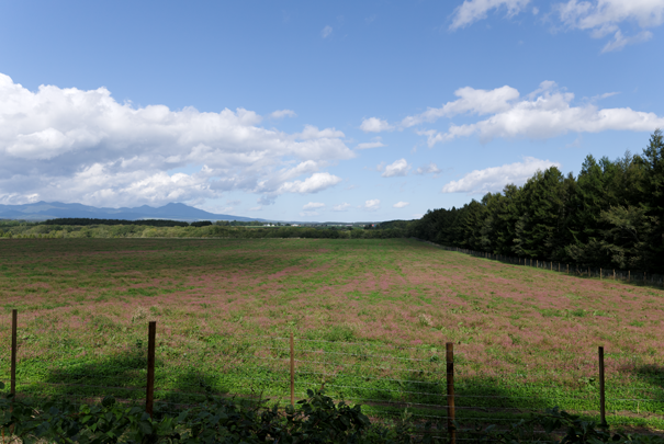 �@RICOH GR�W GR18.3mm1:2.8