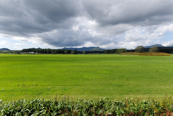 �@RICOH GR�W GR18.3mm1:2.8