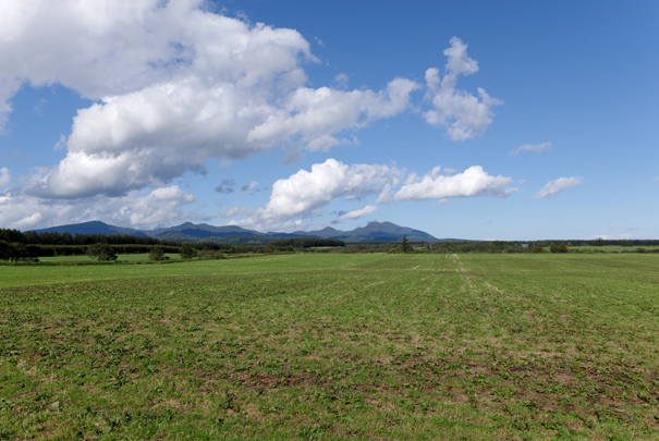 �@RICOH GR�W GR18.3mm1:2.8