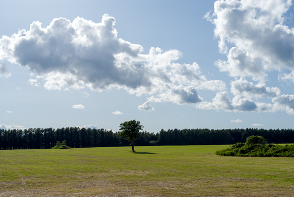 �@RICOH GR�W GR18.3mm1:2.8