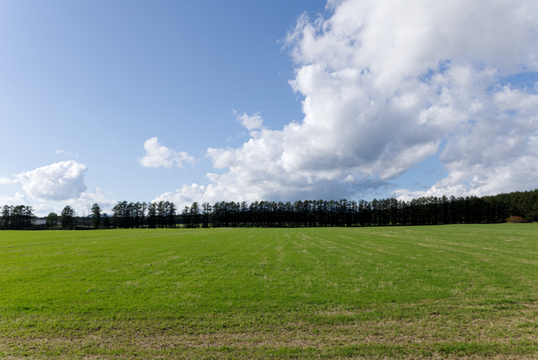 �@RICOH GR�W GR18.3mm1:2.8