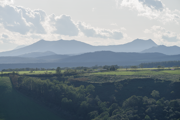 �@RICOH GR�W GR18.3mm1:2.8