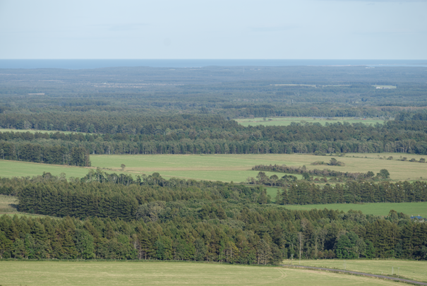 �@RICOH GR�W GR18.3mm1:2.8