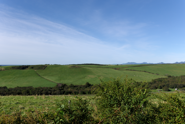 �@RICOH GR�W GR18.3mm1:2.8