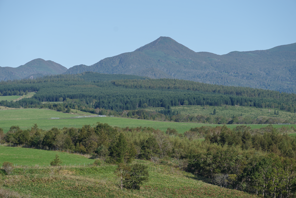 �@RICOH GR�W GR18.3mm1:2.8