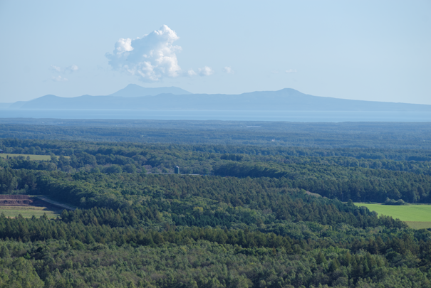 �@RICOH GR�W GR18.3mm1:2.8