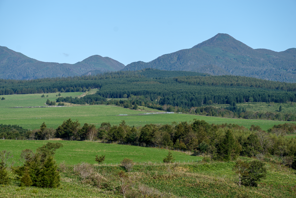 �@RICOH GR�W GR18.3mm1:2.8