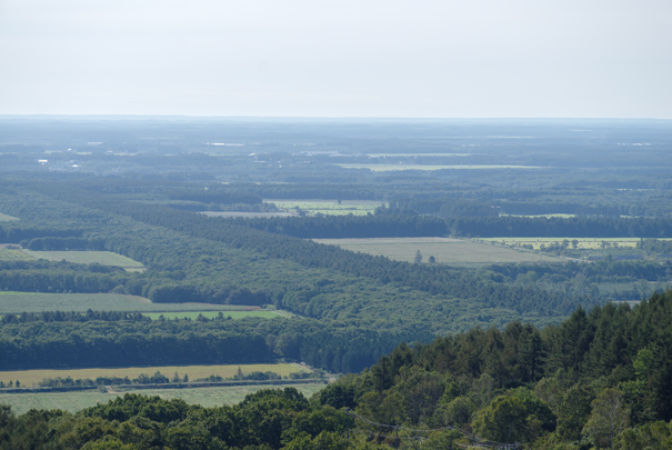 �@RICOH GR�W GR18.3mm1:2.8