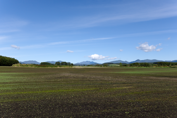 �@RICOH GR�W GR18.3mm1:2.8