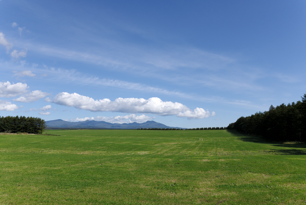 �@RICOH GR�W GR18.3mm1:2.8