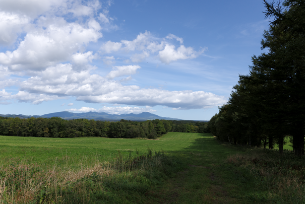 �@RICOH GR�W GR18.3mm1:2.8