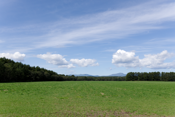 �@RICOH GR�W GR18.3mm1:2.8