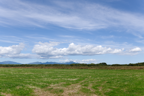 �@RICOH GR�W GR18.3mm1:2.8