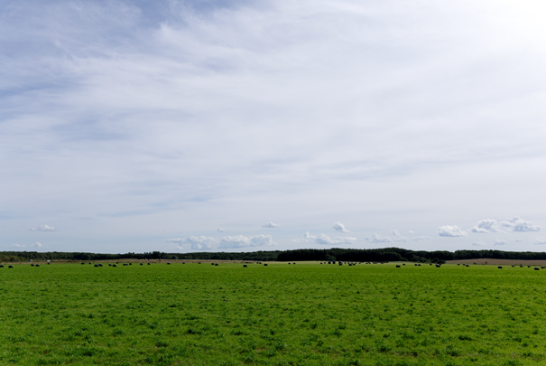 �@RICOH GR�W GR18.3mm1:2.8