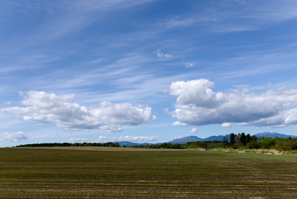 �@RICOH GR�W GR18.3mm1:2.8