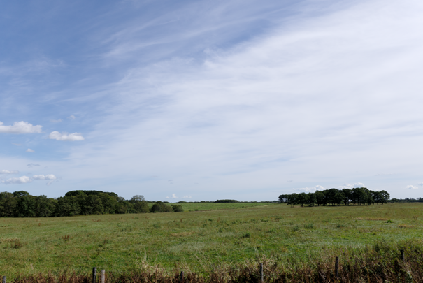 �@RICOH GR�W GR18.3mm1:2.8