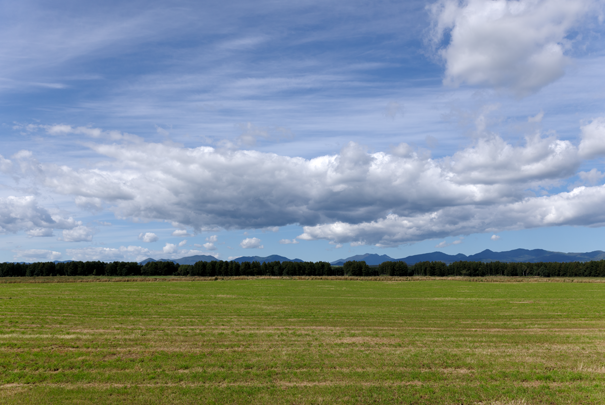 �@RICOH GR�W GR18.3mm1:2.8