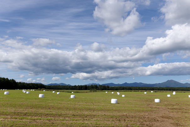 �@RICOH GR�W GR18.3mm1:2.8