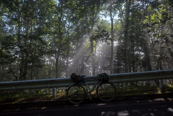 @RICOH GRV GR18.3mm1:2.8