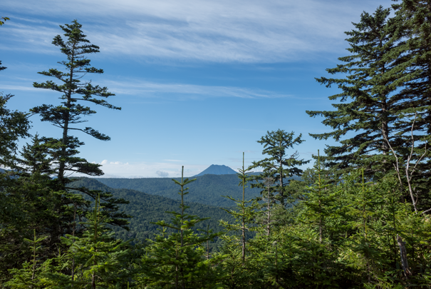 @RICOH GRV GR18.3mm1:2.8