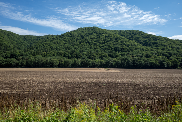 @RICOH GRV GR18.3mm1:2.8