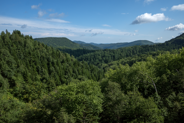 @RICOH GRV GR18.3mm1:2.8