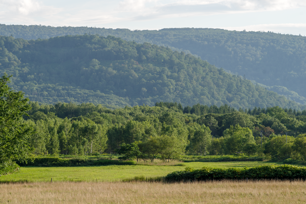 PENTAX K-1 MarkII smc PENTAX-DA200mm1:2.8ED IF SDM