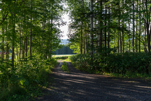 PENTAX K-1 MarkII HD PENTAX-FA43mm1:1.9 Limited
