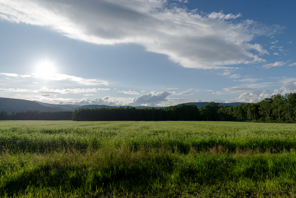 PENTAX K-1 MarkII HD PENTAX-D FA15-30mm1:2.8ED SDM WR