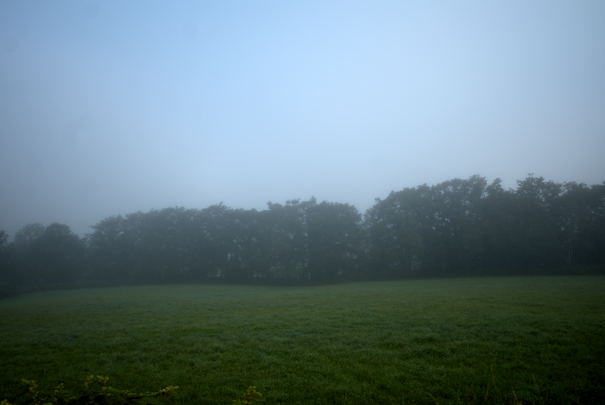 j[TCʐ^@RICOH GR GR18.3mm1:2.8