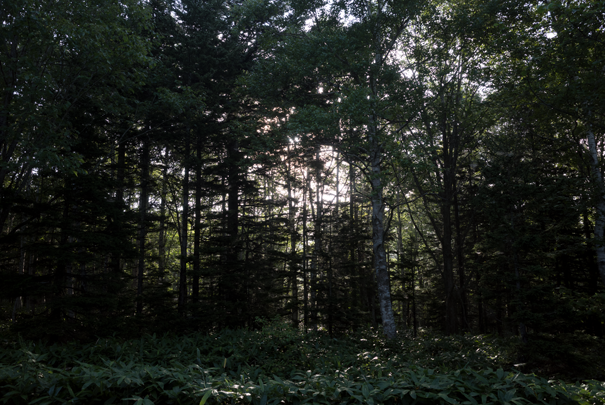 j[TCʐ^@RICOH GR GR18.3mm1:2.8