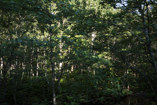 j[TCʐ^@RICOH GR GR18.3mm1:2.8