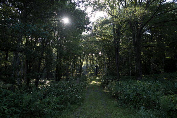 j[TCʐ^@RICOH GR GR18.3mm1:2.8