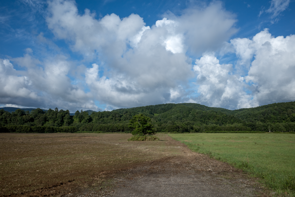 j[TCʐ^@RICOH GR GR18.3mm1:2.8
