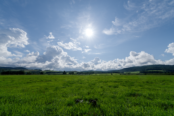 j[TCʐ^@RICOH GR GR18.3mm1:2.8